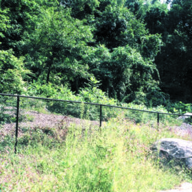 Fence Replacement Windsor CT